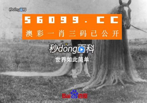 澳门王中王必中一肖一码-精选解释解析落实