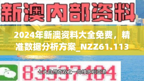 2024年新澳资料免费大全-精选解释解析落实